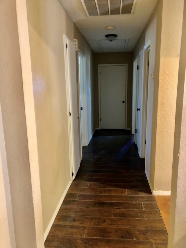 hallway featuring dark wood-type flooring