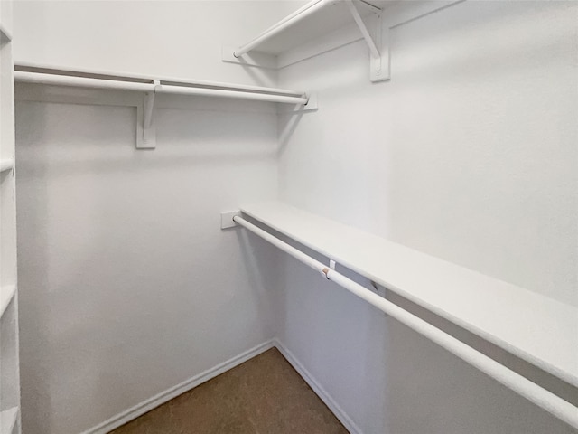 spacious closet with dark colored carpet