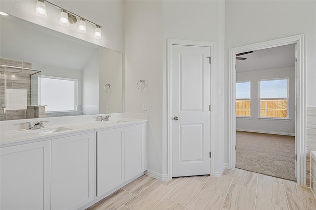 bathroom with vanity and walk in shower