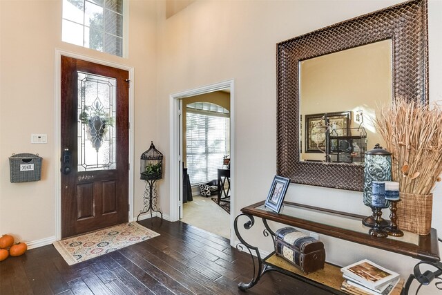 3048 S Camino Lagos, Grand Prairie, TX 75054 - foyer featuring wood-type flooring and baseboards