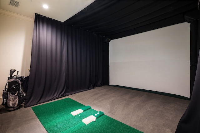 playroom with crown molding, carpet floors, and golf simulator