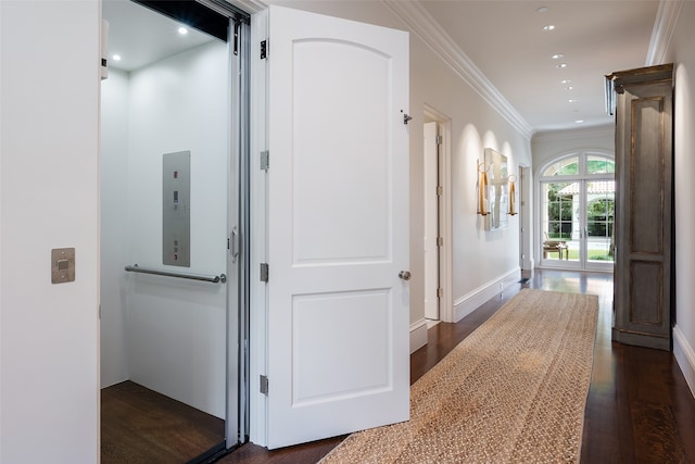 corridor featuring ornamental molding and dark wood-type flooring