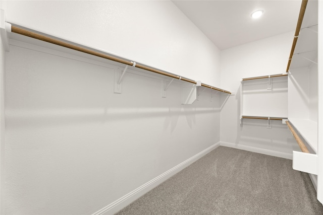 spacious closet featuring carpet