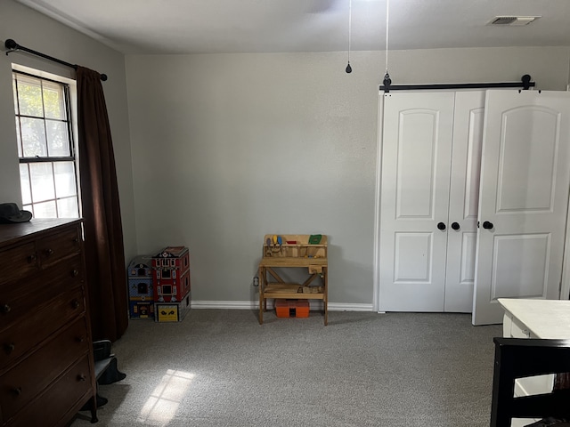 interior space with a closet and carpet