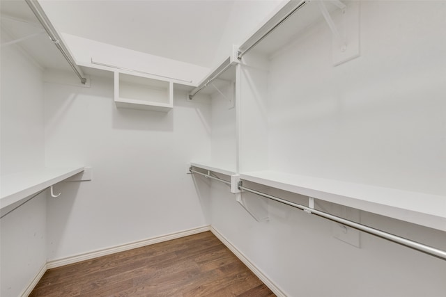 spacious closet featuring dark hardwood / wood-style floors