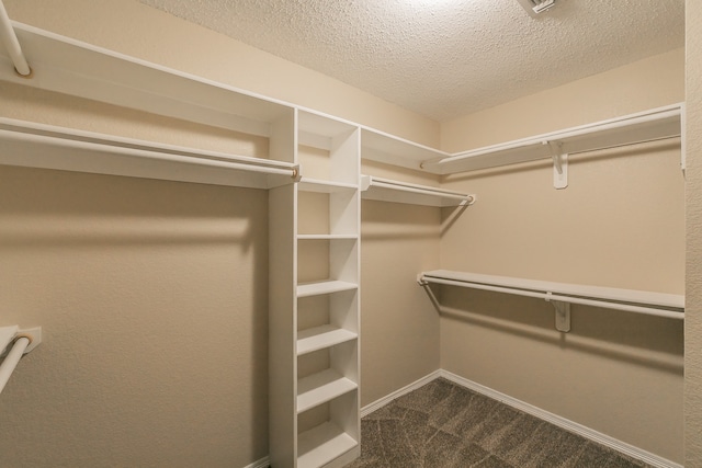 spacious closet with dark carpet