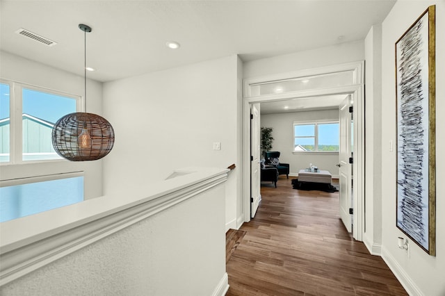 hall featuring dark wood-type flooring and a healthy amount of sunlight