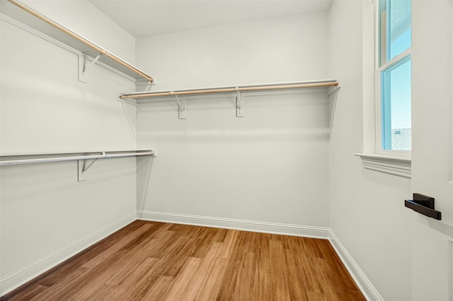 spacious closet with wood-type flooring