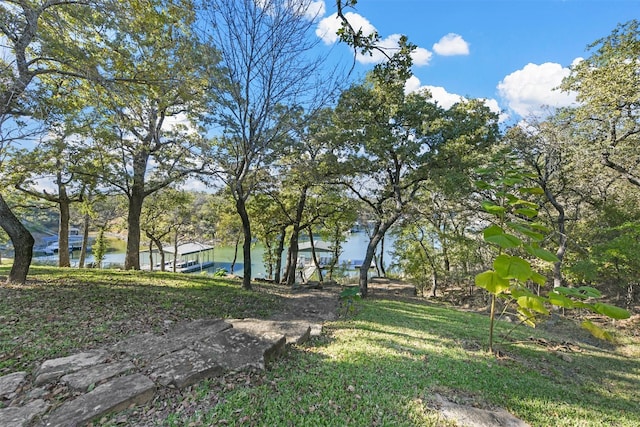 view of home's community with a water view
