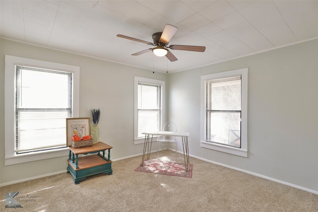 interior space with ornamental molding, carpet flooring, and ceiling fan