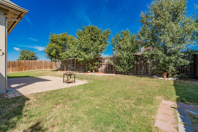 view of yard featuring a patio area