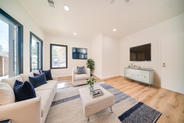 living room with light hardwood / wood-style flooring and plenty of natural light