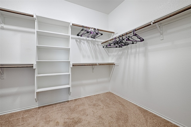 spacious closet featuring carpet