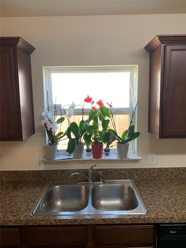 kitchen featuring dishwasher, sink, and dark brown cabinets