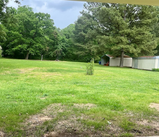 view of yard featuring an outbuilding