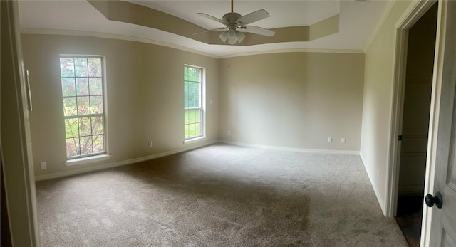 spare room with baseboards, carpet, a raised ceiling, and crown molding