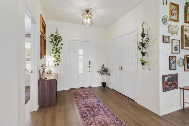 entrance foyer with plenty of natural light and dark hardwood / wood-style flooring