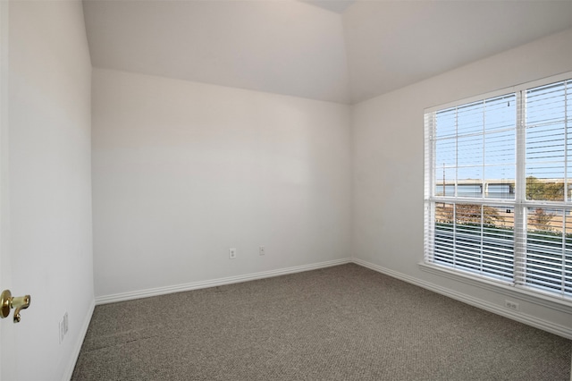 empty room with carpet and plenty of natural light