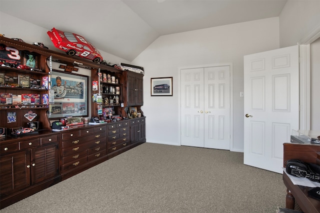 interior space with lofted ceiling and a closet