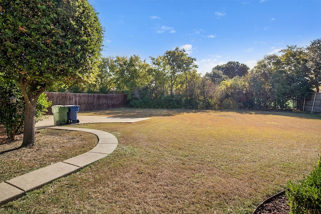 view of yard featuring a patio area