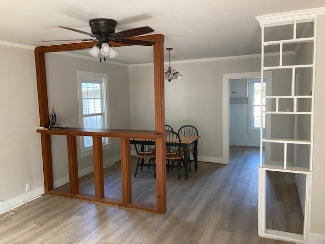 dining area with hardwood / wood-style floors, ceiling fan with notable chandelier, and ornamental molding