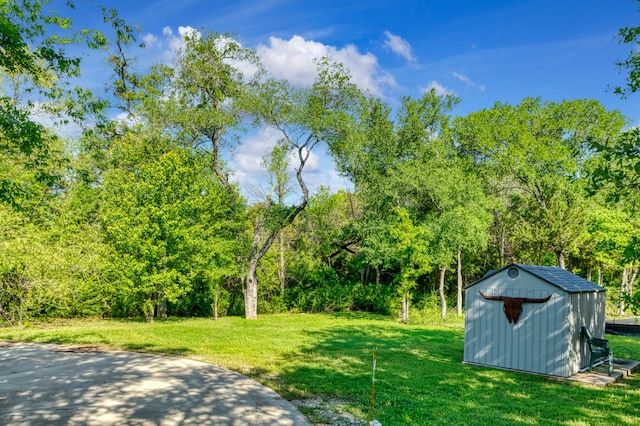 view of yard with a storage shed