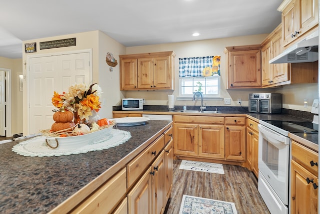 kitchen featuring sink, dark wood-type flooring, and white appliances