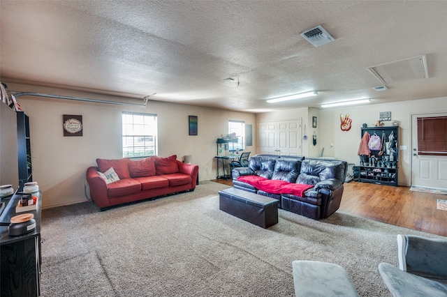 living room with a textured ceiling and hardwood / wood-style floors