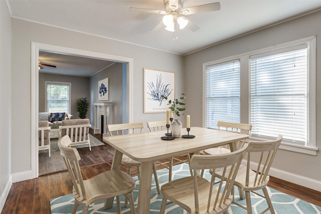 dining space with plenty of natural light and dark wood-type flooring