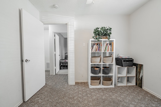 interior space featuring carpet flooring and a textured ceiling