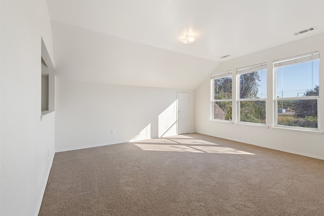 additional living space featuring carpet and lofted ceiling