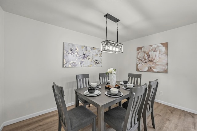 dining room featuring hardwood / wood-style flooring