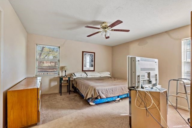 carpeted bedroom with multiple windows and ceiling fan