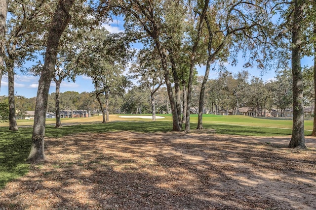 view of property's community featuring a yard