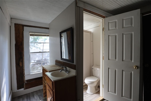 bathroom featuring vanity, wood-type flooring, and toilet