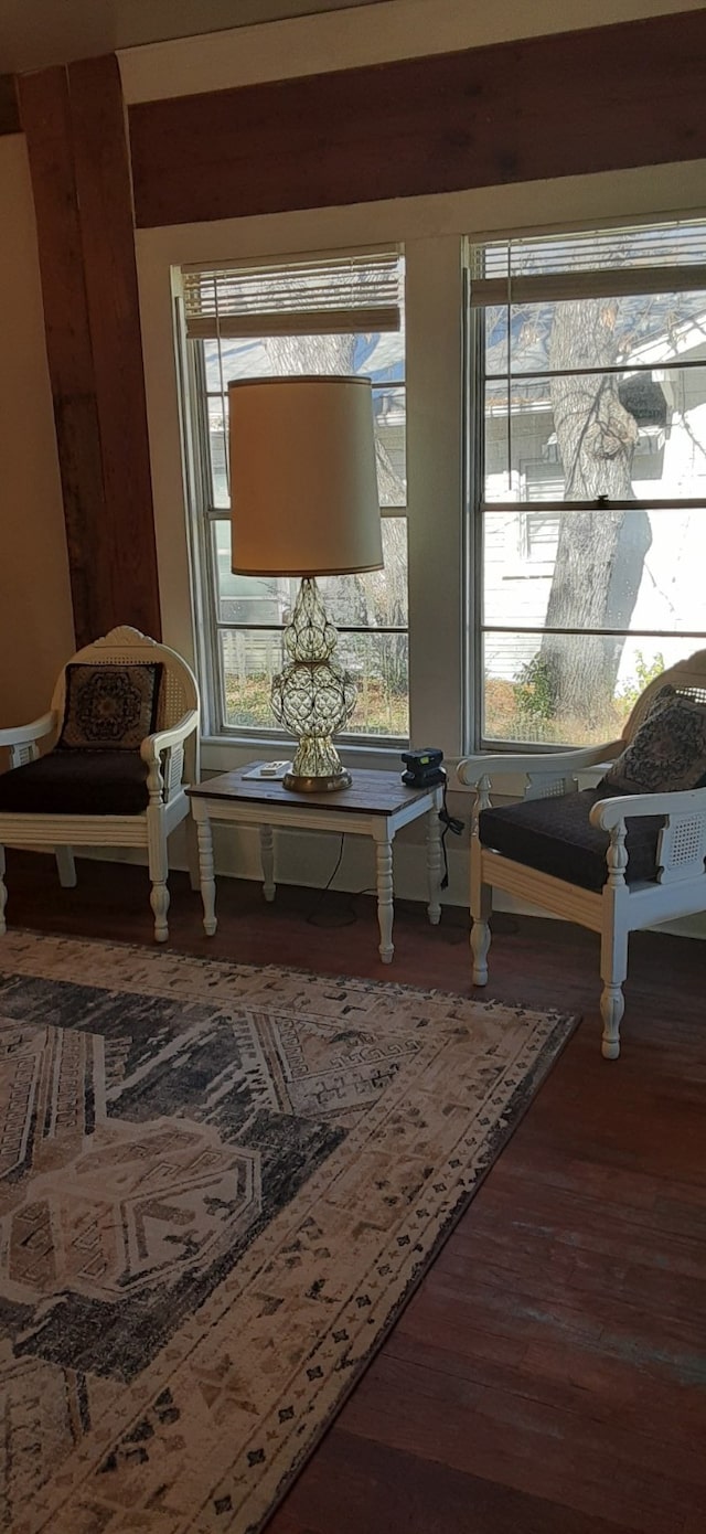 living area with a wealth of natural light and wood-type flooring