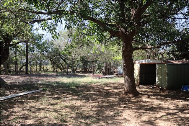 view of yard featuring an outdoor structure