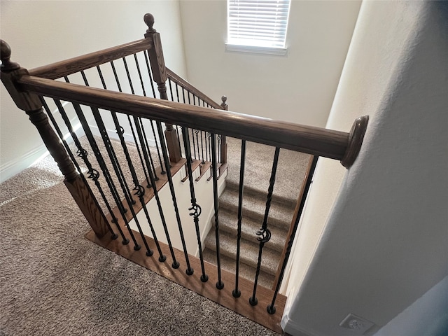 staircase with carpet flooring