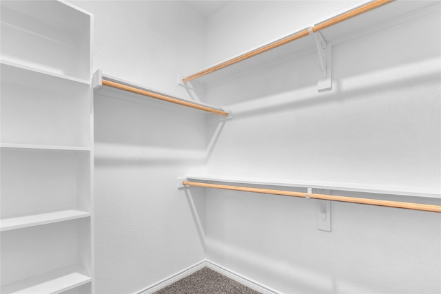 walk in closet with carpet flooring