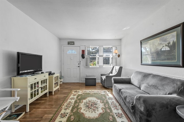 living room with dark hardwood / wood-style flooring