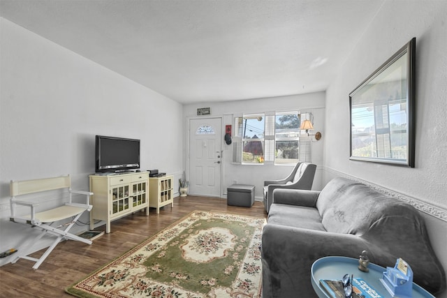 living room featuring dark wood-type flooring