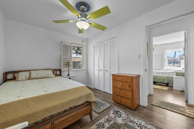 bedroom featuring a closet, ceiling fan, crown molding, and dark hardwood / wood-style flooring