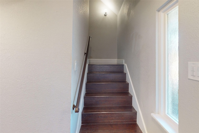 stairs with hardwood / wood-style floors