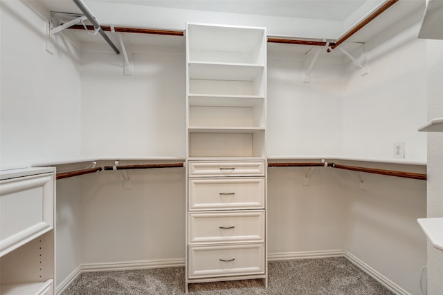 spacious closet featuring carpet