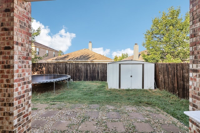 view of yard featuring a patio, a storage unit, and a trampoline