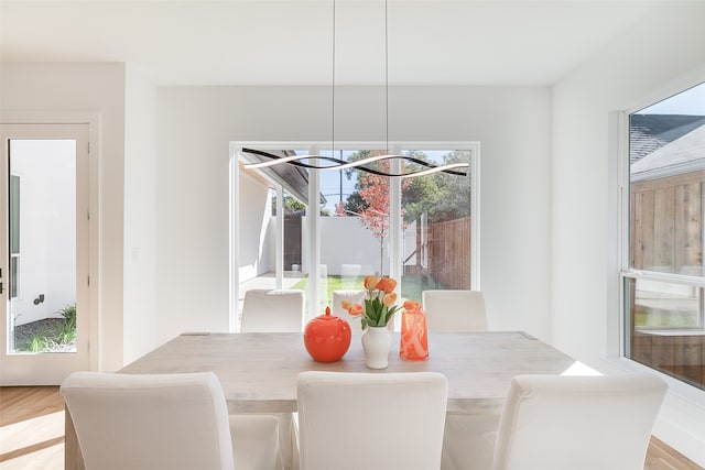 dining room with light hardwood / wood-style floors