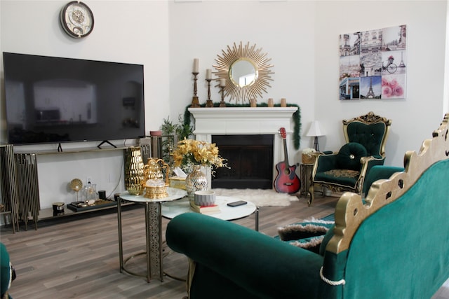 living room with hardwood / wood-style floors