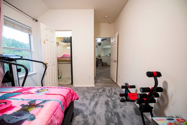 bedroom with a closet, hardwood / wood-style flooring, a spacious closet, and lofted ceiling