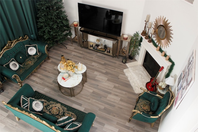 living room featuring hardwood / wood-style floors