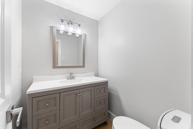 bathroom featuring vanity, wood-type flooring, and toilet